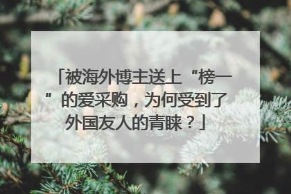 被海外博主送上“榜一”的爱采购，为何受到了外国友人的青睐？