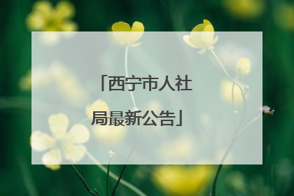 西宁市人社局最新公告