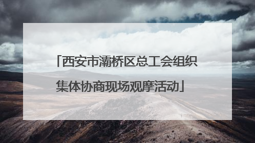 西安市灞桥区总工会组织集体协商现场观摩活动