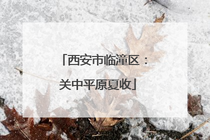 西安市临潼区：关中平原夏收