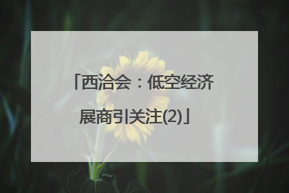 西洽会：低空经济展商引关注(2)