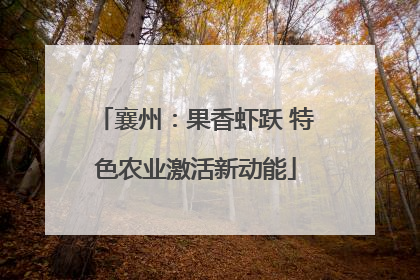 襄州：果香虾跃 特色农业激活新动能