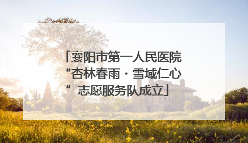 襄阳市第一人民医院“杏林春雨・雪域仁心”志愿服务队成立