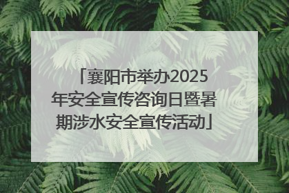 襄阳市举办2025年安全宣传咨询日暨暑期涉水安全宣传活动