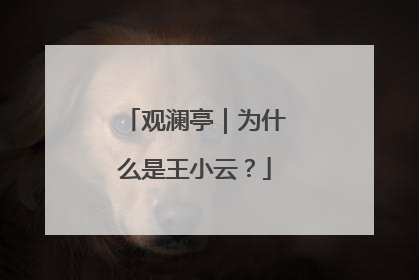 观澜亭｜为什么是王小云？