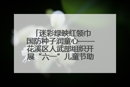 迷彩绿映红领巾 国防种子润童心——花溪区人武部组织开展“六一”儿童节助学兴教活动