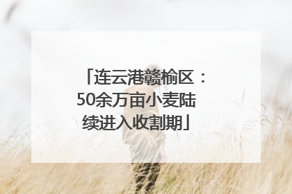 连云港赣榆区：50余万亩小麦陆续进入收割期