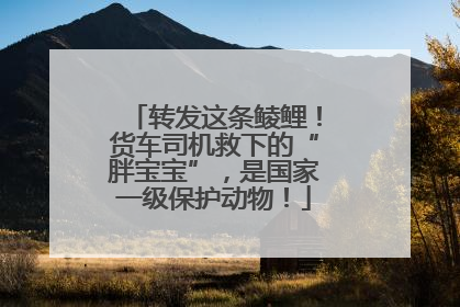 转发这条鲮鲤！货车司机救下的“胖宝宝”，是国家一级保护动物！