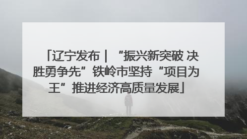 辽宁发布｜“振兴新突破 决胜勇争先”铁岭市坚持“项目为王”推进经济高质量发展