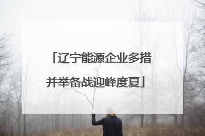 辽宁能源企业多措并举备战迎峰度夏