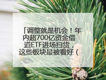 调整就是机会！年内超700亿资金借道ETF进场扫货，这些板块最被看好（附名单）