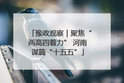 豫政观察｜聚焦“两高四着力” 河南谋篇“十五五”