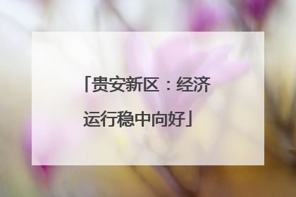 贵安新区：经济运行稳中向好