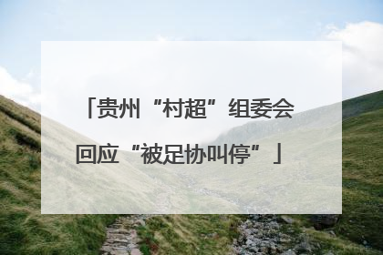 贵州“村超”组委会回应“被足协叫停”