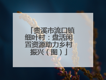 贵溪市流口镇细叶村：盘活闲置资源助力乡村振兴（图）