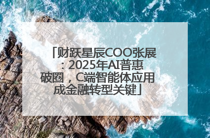 财跃星辰COO张展：2025年AI普惠破圈，C端智能体应用成金融转型关键