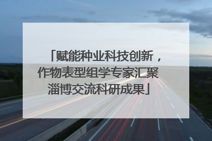 赋能种业科技创新，作物表型组学专家汇聚淄博交流科研成果