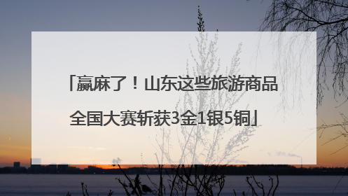 赢麻了！山东这些旅游商品全国大赛斩获3金1银5铜