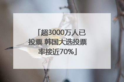 超3000万人已投票 韩国大选投票率接近70%