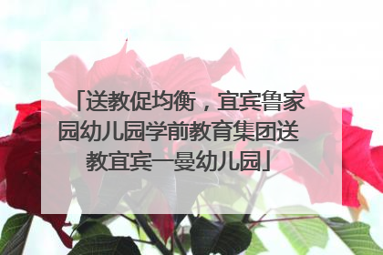 送教促均衡，宜宾鲁家园幼儿园学前教育集团送教宜宾一曼幼儿园
