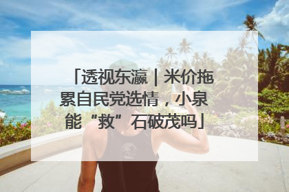 透视东瀛｜米价拖累自民党选情，小泉能“救”石破茂吗