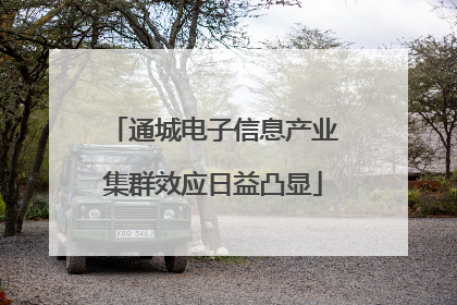 通城电子信息产业集群效应日益凸显