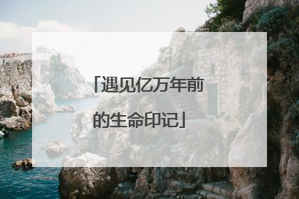 遇见亿万年前的生命印记