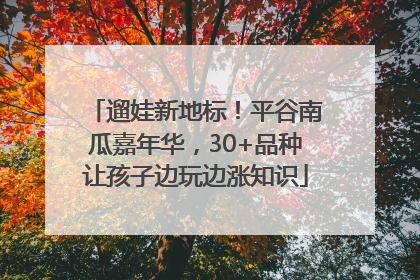 遛娃新地标！平谷南瓜嘉年华，30+品种让孩子边玩边涨知识