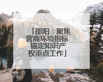 邵阳：聚焦营商环境指标 锚定知识产权重点工作