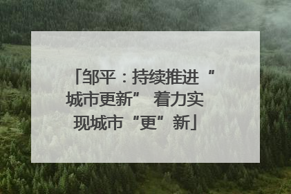邹平：持续推进“城市更新” 着力实现城市“更”新