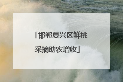 邯郸复兴区鲜桃采摘助农增收