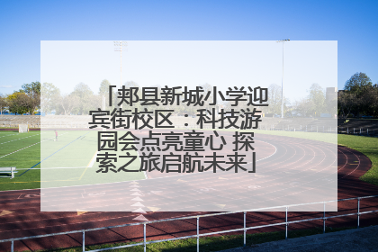 郏县新城小学迎宾街校区：科技游园会点亮童心 探索之旅启航未来