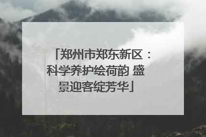 郑州市郑东新区：科学养护绘荷韵 盛景迎客绽芳华