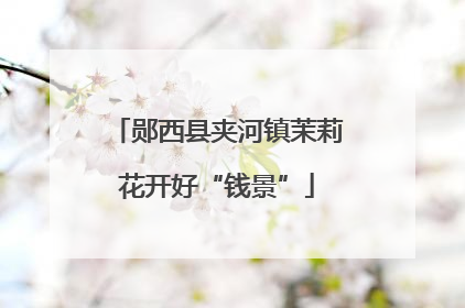 郧西县夹河镇茉莉花开好“钱景”