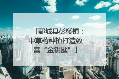 鄄城县彭楼镇：中草药种植打造致富“金钥匙”