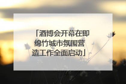 酒博会开幕在即 绵竹城市氛围营造工作全面启动