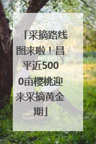 采摘路线图来啦！昌平近5000亩樱桃迎来采摘黄金期