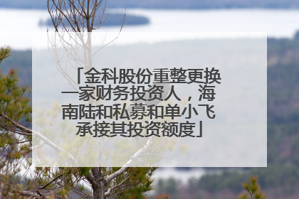 金科股份重整更换一家财务投资人,海南陆和私募和单小飞承接其投资额度