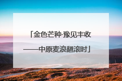 金色芒种·豫见丰收——中原麦浪翻滚时
