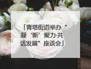 青塔街道举办“凝‘新’聚力·共话发展”座谈会