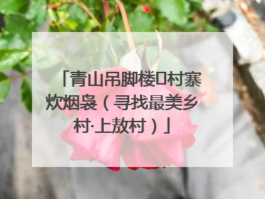 青山吊脚楼 村寨炊烟袅（寻找最美乡村·上敖村）