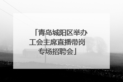 青岛城阳区举办工会主席直播带岗专场招聘会
