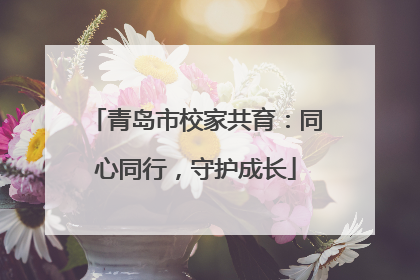 青岛市校家共育：同心同行，守护成长