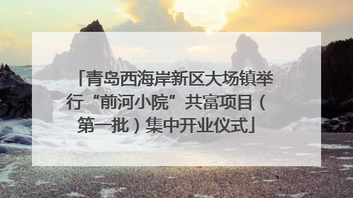 青岛西海岸新区大场镇举行“前河小院”共富项目（第一批）集中开业仪式