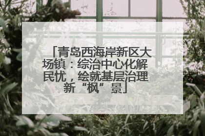 青岛西海岸新区大场镇：综治中心化解民忧，绘就基层治理新“枫”景