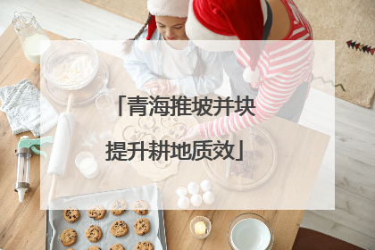 青海推坡并块提升耕地质效