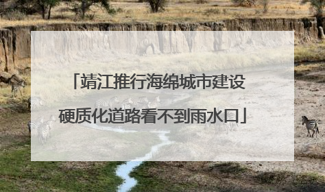 靖江推行海绵城市建设 硬质化道路看不到雨水口