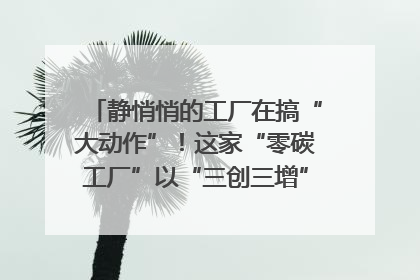 静悄悄的工厂在搞“大动作”！这家“零碳工厂”以“三创三增”探索共富新路径｜网络名人四川行