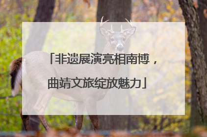 非遗展演亮相南博，曲靖文旅绽放魅力
