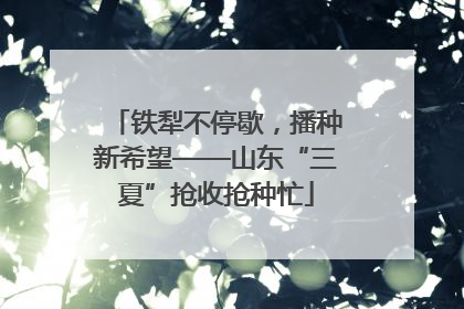 铁犁不停歇，播种新希望——山东“三夏”抢收抢种忙